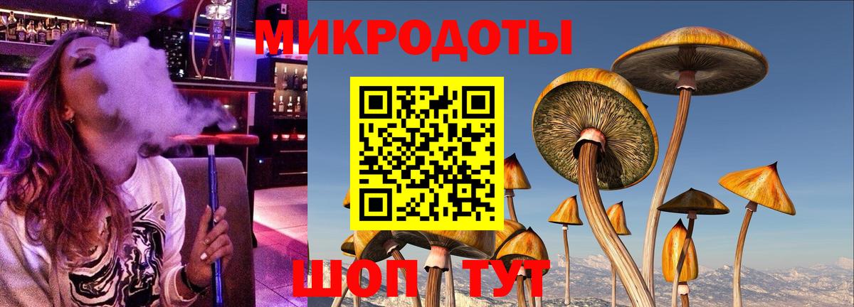 Галлюциногенные грибы Psilocybine cubensis Златоуст